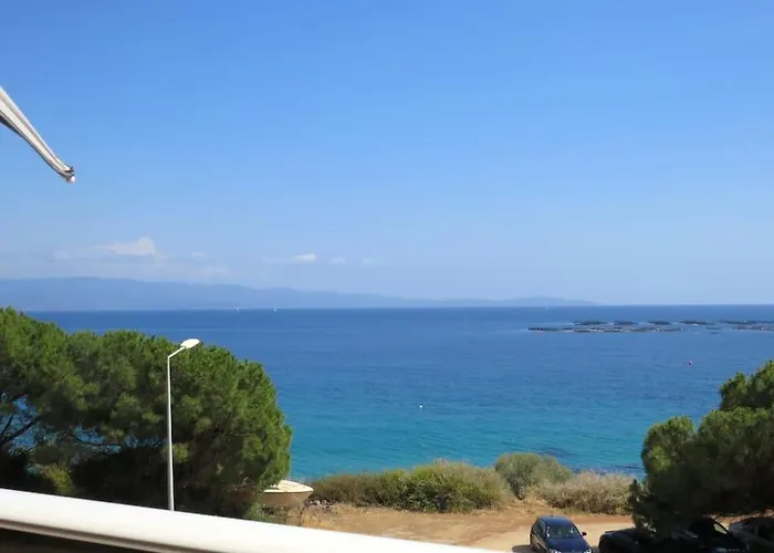 Bel App T2 En Bord De Mer Vue Sanquinaires Piscine