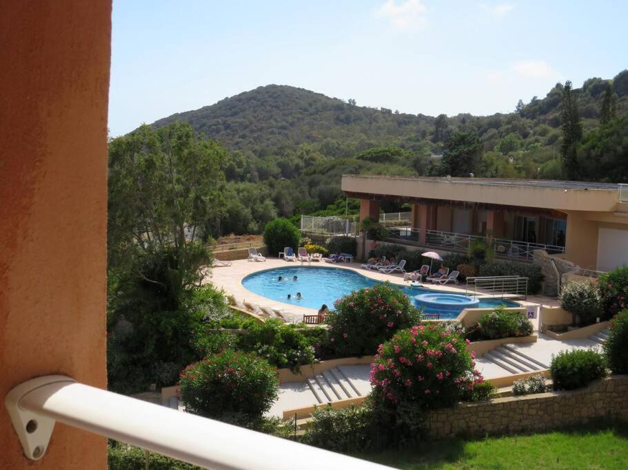 Bel App T2 En Bord De Vue Sanquinaires Piscine