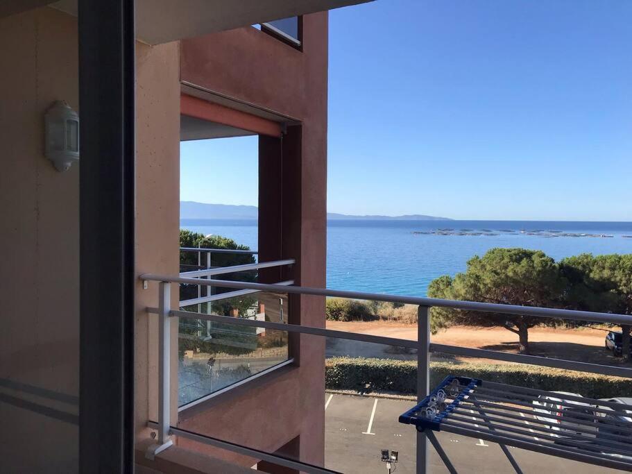 Bel App T2 En Bord De Vue Sanquinaires Piscine