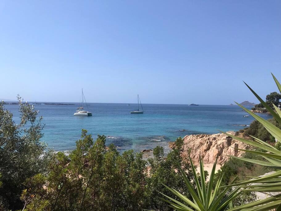 Bel App T2 En Bord De Vue Sanquinaires Piscine Apartment