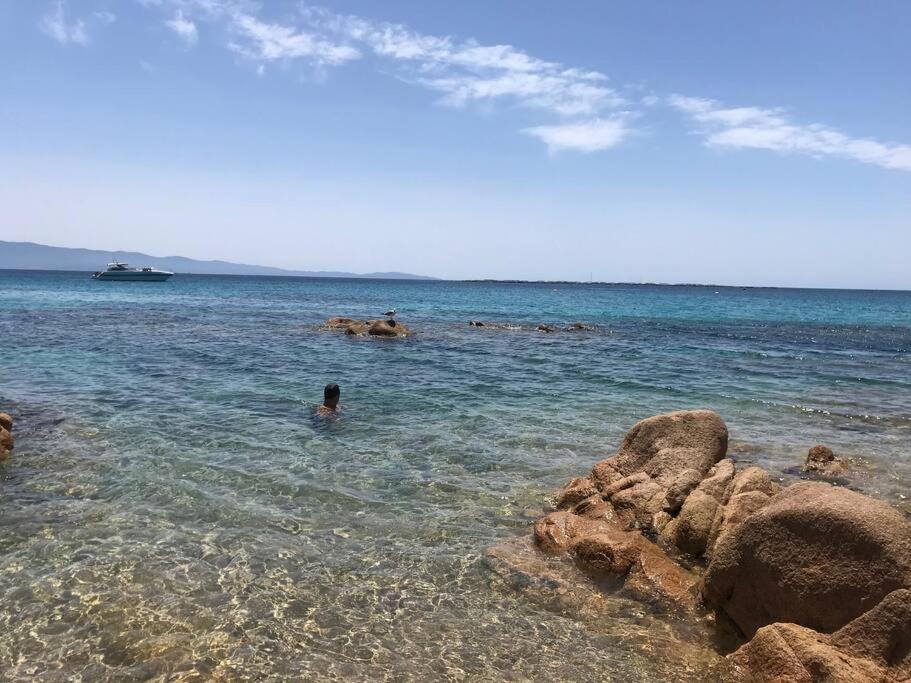 Bel App T2 En Bord De Vue Sanquinaires Piscine * Ajaccio (Corsica)