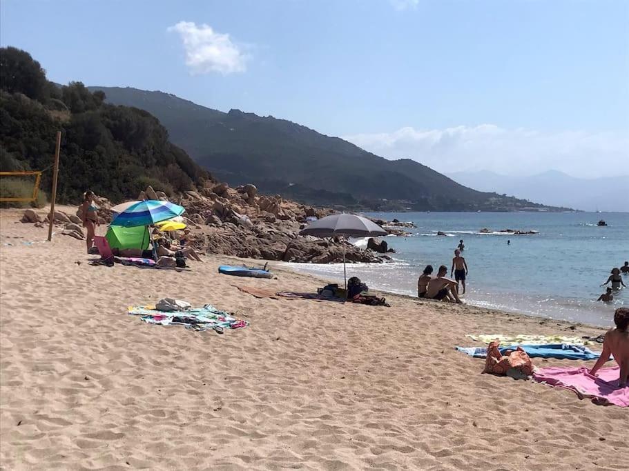 Bel App T2 En Bord De Vue Sanquinaires Piscine Apartment