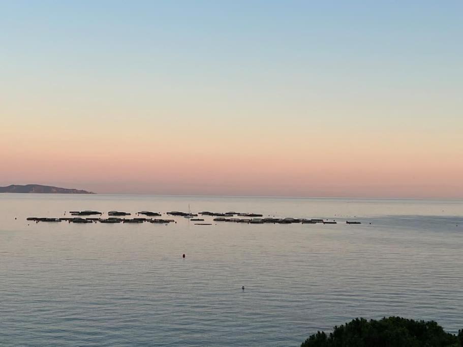Bel App T2 En Bord De Vue Sanquinaires Piscine * Ajaccio (Corsica)